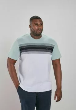 Next Herren T-Shirt Print - Mint Green Soft Touch