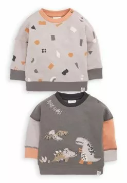 Next 2 PACK - Sweatshirt - Grey Dino Baby | Kinder