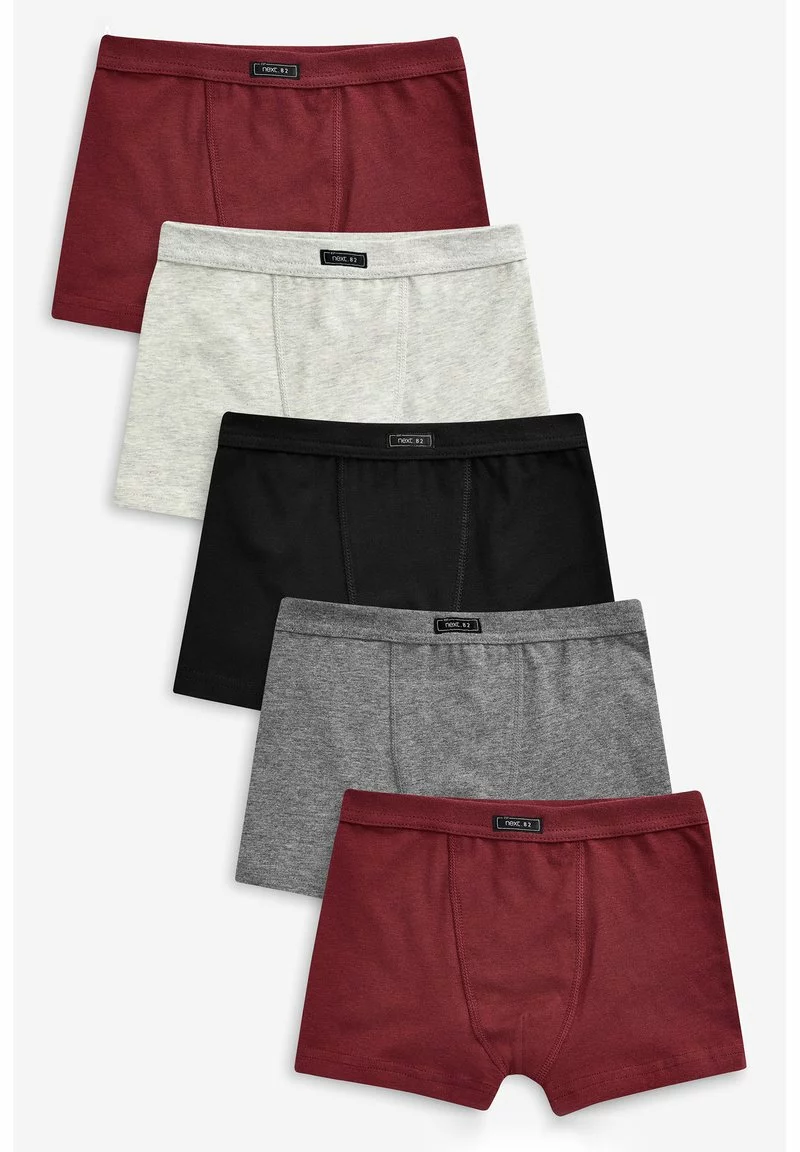 Next Kinder 5 PACK - Panties - Dark Purple 1 Next Kinder 5 PACK - Panties - Dark Purple